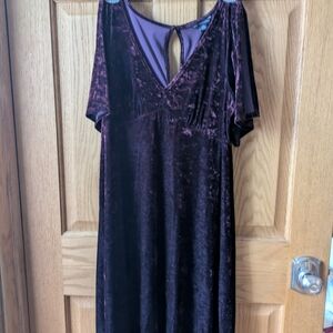 American Eagle Outfitters Velvet Midi Dress in Deep Purple
